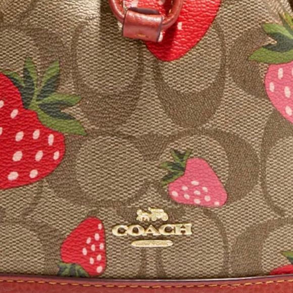 NWT COACH Mini Dempsey Bucket Bag Signature Canvas Wild Strawberry Print CH164 - Picture 12 of 12